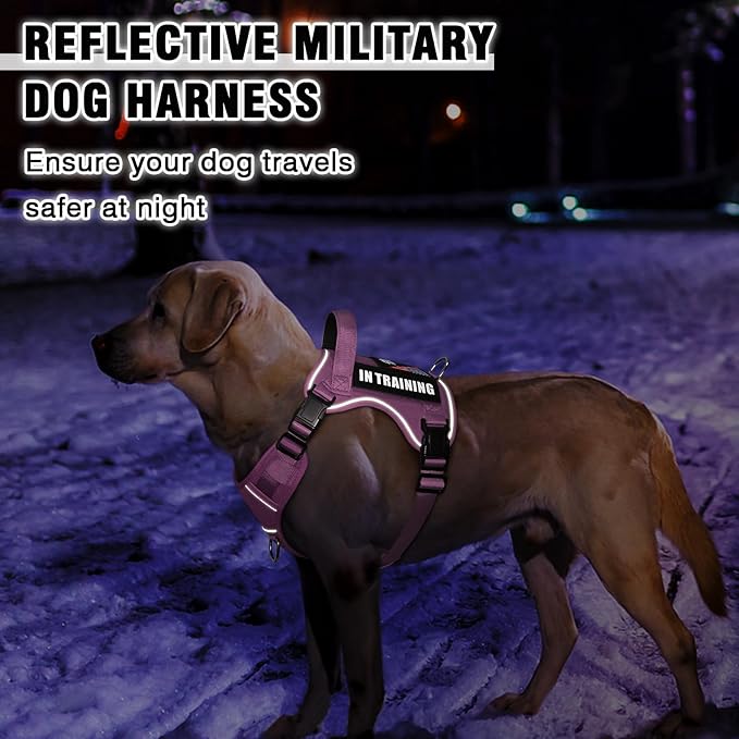 WINSEE Service Dog in Training Harness with 5 PCS Patches, Reflective Tactical Dog Vest Harness, Adjustable Soft Oxford Pet Harness with Easy Control Handle, Hook &amp; Loop Panels for Walking Hiking