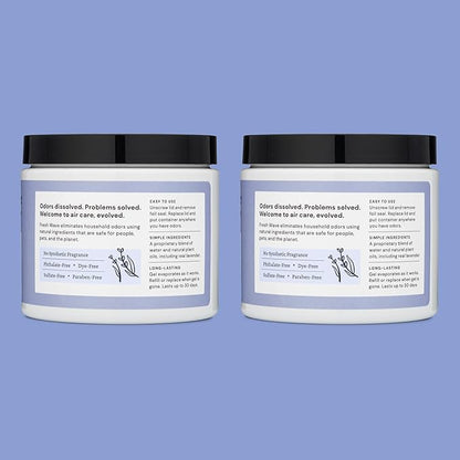 Fresh Wave Lavender Odor Removing Gel, 15 oz., Pack of 2 - Safer Odor Absorbers for Home, Natural Plant-Based Odor Eliminator, Every 15 oz. lasts 30-60 Days, For Cooking, Trash &amp; Pets