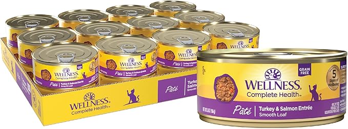 Wellness Complete Health Pate Adult Wet Cat Food, Natural, Protein-Rich, Grain Free, 5.5 Ounce, 24 Pack, (Turkey &amp; Salmon)