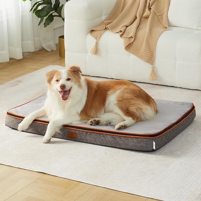 Memory Foam XL Dog Bed - 4” Thick Orthopedic Beds for Extra Large Dogs - Waterproof Dog Bed with Removable Washable Cover &amp; Wrap-Around Zipper - Ultimate Comfort and Easy Maintenance