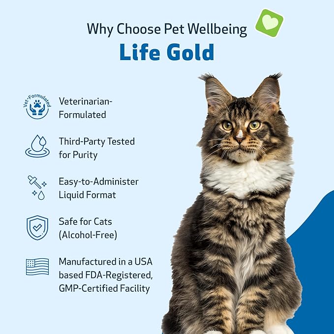 Life Gold for Cats - Supports Detoxification &amp; Healthy Immune Defenses, Astragalus, Burdock, Sheep Sorrel - Pet Wellbeing Vet-Formulated Holistic Supplement – 2 oz (59 ml)