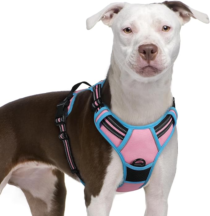 rabbitgoo Dog Harness No Pull with 2 Leash Clips, Adjustable Soft Padded, Reflective Oxford No Choke Pet Vest with Easy Control Handle for Large Dogs, Pink &amp; Blue, XL