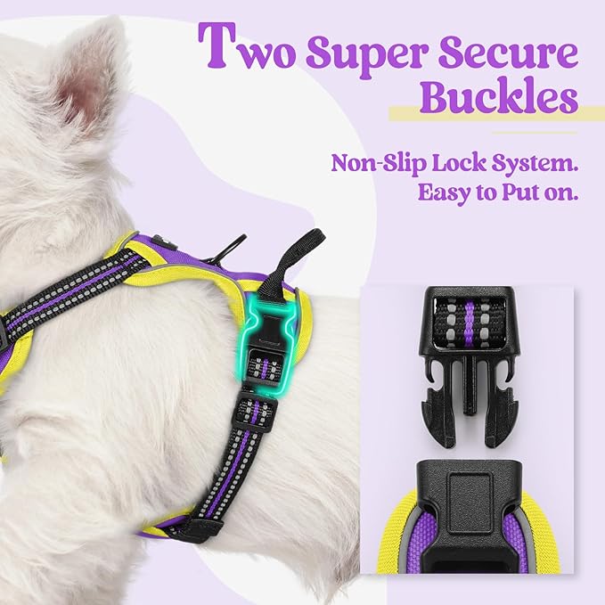rabbitgoo Dog Harness No Pull with 2 Leash Clips, Adjustable Soft Padded, Reflective Oxford No Choke Pet Vest with Easy Control Handle for Puppy, Purple &amp; Yellow, XS
