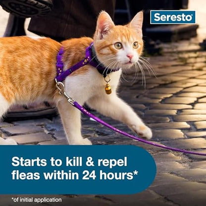 Seresto Cat Vet-Recommended Flea &amp; Tick Treatment &amp; Prevention Collar for Cats, 8 Months Protection | (Pack of 2)