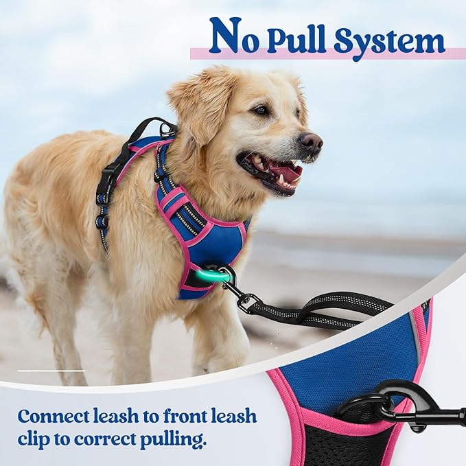 rabbitgoo Dog Harness No Pull with 2 Leash Clips, Adjustable Soft Padded, Reflective Oxford No Choke Pet Vest with Easy Control Handle for Large Dogs, Blue &amp; Hot Pink, M