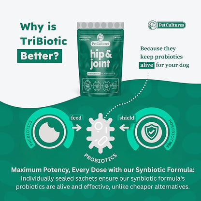 Hip and Joint Synbiotic Formula - 600mg Glucosamine, Chondroitin, MSM, and Probiotics in 30 Packs