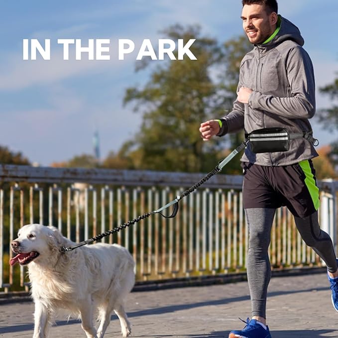 Hands Free Dog Leash with Pouch, Retractable Bungee, Double Padded Handles for Walking, Waist Leash for Medium &amp; Large Dogs, Walking Accessories