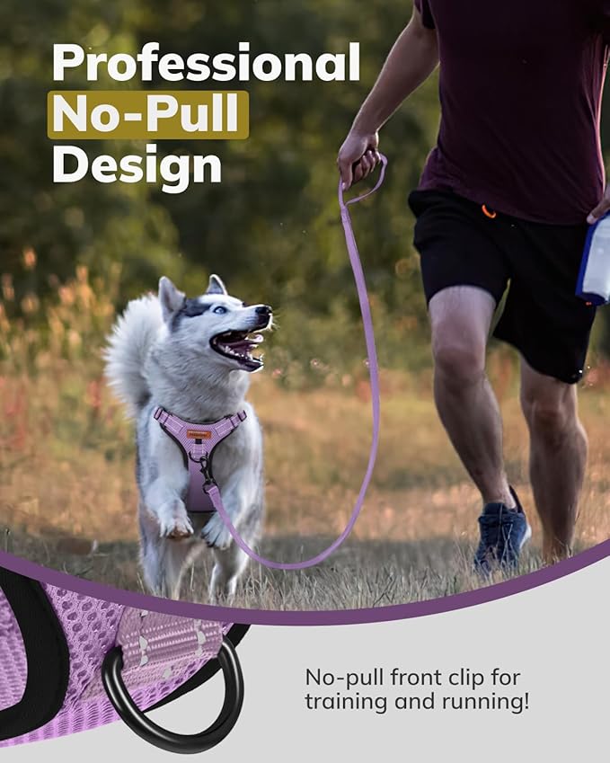 MIDOG No-Pull Dog Harness | Adjustable &amp; Reflective Pet Harness Leash Set for Small Medium Large Dogs Walking, Training| No Choke, Front Clip, Soft Padded Vest with Easy Control Handle - Purple, S