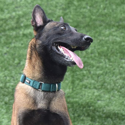 Hyhug Martingale Dog Collar Without Buckle: Anti Escape, No Slip Heavy - Duty Nylon, Colorfast &amp; Adjustable for Medium Breeds（Medium, Solid Color Dark Green