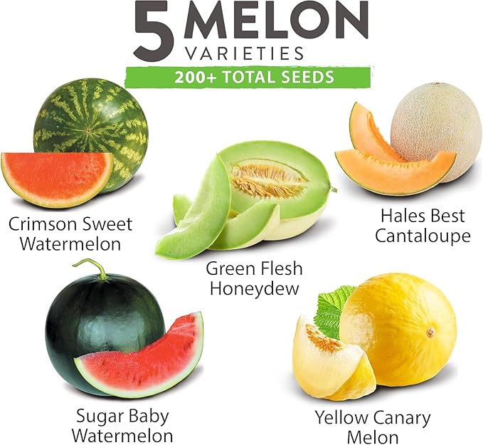 HOME GROWN 𝗨𝗦𝗔 𝗣𝗥𝗘𝗠𝗜𝗨𝗠 Melon Seeds Variety Pack 5 𝗡𝗢𝗡-𝗚𝗠𝗢 Heirloom Vegetable Seeds, Watermelon Cantaloupe Honeydew Sugar Baby &amp; Melon, High Germination for Planting Home Garden Indoors