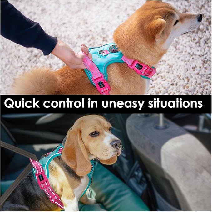PHOEPET No Pull Dog Harness, Unique Colors Reflective Adjustable Dog Vest, with Soft Training Handle Metal Clips for Small Medium Large Dogs (Mint Green Base &amp; Pink Straps,S)