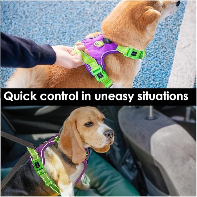 PHOEPET No Pull Dog Harness, Unique Colors Reflective Adjustable Dog Vest, with Soft Training Handle Metal Clips for Small Medium Large Dogs (Purple Base &amp; Green Straps,XS)