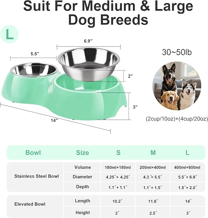 Elevated Dog Bowls Set - Non-Slip Raised Pet Feeder with Medium (2 Cups) &amp; Large (4 Cups) Stainless Steel Bowls - Includes Durable Resin Stand for Puppies, Adult Dogs &amp; Cats - Green