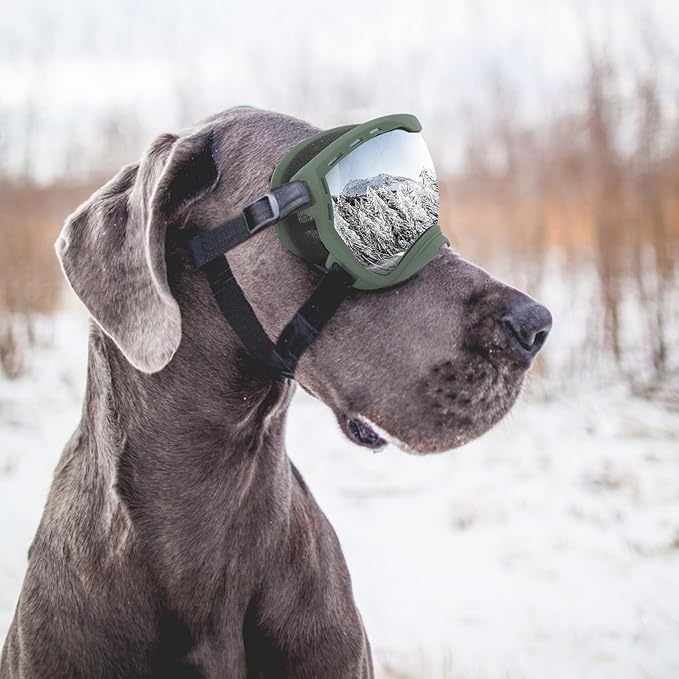 Dog Goggles for Large Dogs, UV Wind Dust Fog Protection, Soft Frame Adjustable Dog Sunglasses, Summer Driving &amp; Winter Snow Eyewear, Tactical Pet Glasses with Elastic Strap (Green)