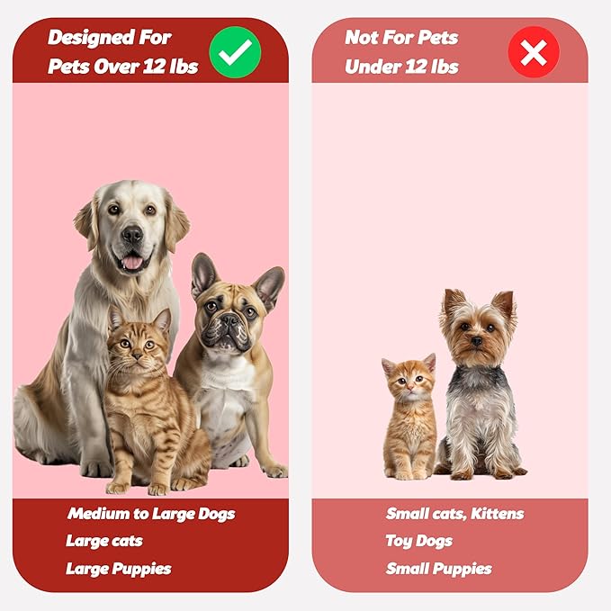 Pet Toothbrush for Dogs, Cats with Soft Bristles - Easy Teeth Cleaning &amp; Dental Care, Non Slip Dual Head Dog Toothbrush