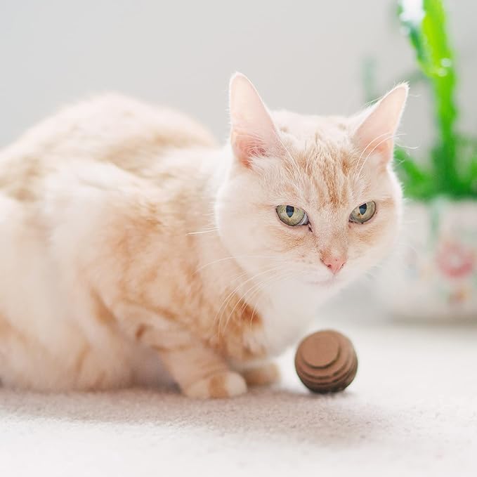Cat Ball Toys by Americat – Made in USA – Safe Cardboard Cat Toys – for Interactive and Independent Play, Exercise &amp; Stress Relief for All Breeds &amp; Ages (Pack of 3 Round Balls)