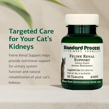 Standard Process Inc. Feline Renal Support - Cat Supplement to Support Kidney &amp; Urinary Health, Cat Supplies with Whole-Food Based Ingredients, Feline Supplement to Aid Kidney Function - 90 Tablets
