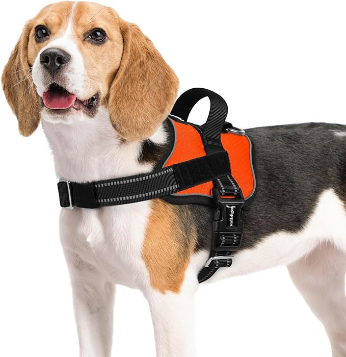 rabbitgoo Dog Harness Medium Sized, Easy On Pet Vest with One Buckle, No Pull Adjustable Service Harness with D-Ring &amp; Handle, Reflective for Safety Walking, Training, Orange, M
