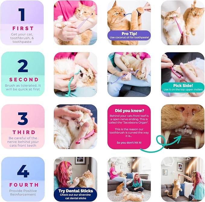 RYERCAT Set of 2 Dual Sided Cat Toothbrush - Kitten Toothbrush with Micro Head to fit into Cat/Kittens Mouth - Cat Dental Care Supplies - Pet Toothbrush for Cats(Lavender Purple &amp; Ocean Blue)