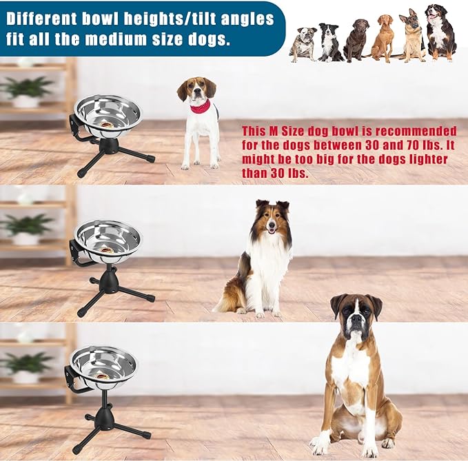 Elevated Dog Bowl with Adjustable Metal Stand, Medium Size for Dogs 30-70 lbs, 0.5 Gal 2 Liter, Stainless Steel Food &amp; Water Bowl Set