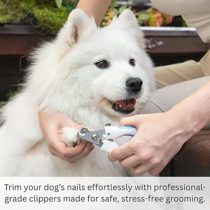 AIXINPET Dog &amp; Cat Nail Clippers and Trimmers - with Free Nail File, Protective Guard to Avoid Over Cutting, Extra Sharp Blade - Suitable for Small to Large Dogs &amp; Cats, Birds and Rabbits (Large)