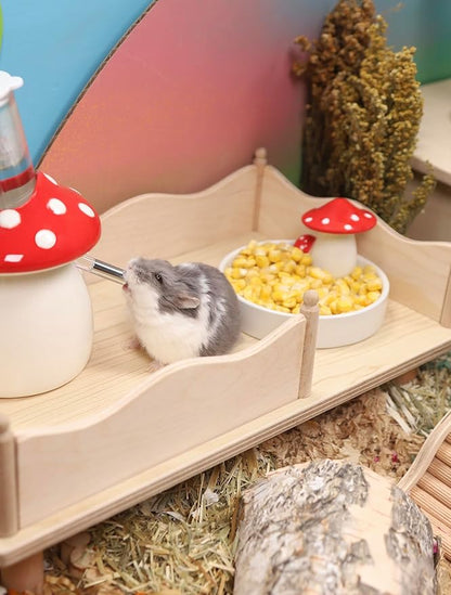 Niteangel Hamster Snack &amp; Treats Toy - Small Animal Natural Treat for Dwarf Syrian Robo Hamsters Gerbils Mice Lemmings Degus or Other Small-Sized Pets