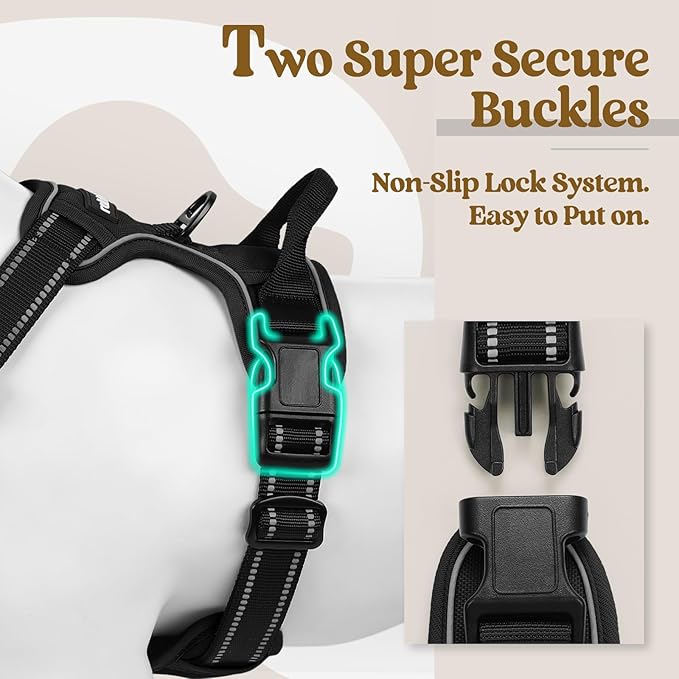 rabbitgoo Dog Harness No Pull with 2 Leash Clips, Adjustable Soft Padded, Reflective Oxford No Choke Pet Vest with Easy Control Handle for Medium Sized Dogs, Black, M