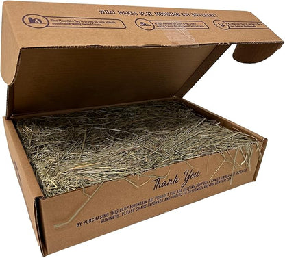 Blue Mountain Hay | Fresh Orchard Grass Hay (5 Pounds) | High Fiber, Soft &amp; Leafy | High-Altitude Hay Pet Food for Rabbits, Guinea Pigs, Chinchillas, Hamsters, and Other Small Pets