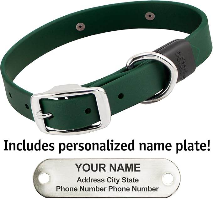 Biothane Custom Dog Collar – Waterproof, Stink-Proof Personalized Collar with Name &amp; Phone Number – Durable, Many Sizes and Colors – Assembled in USA (Forest Green)