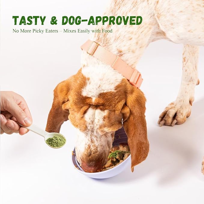 Dog Dental Care Powder - Plaque &amp; Tartar Control with Natural Enzymes, Teeth Cleaning Powder for Dogs with Probiotic, Bad Breath Treatment for Small Medium Large Dogs