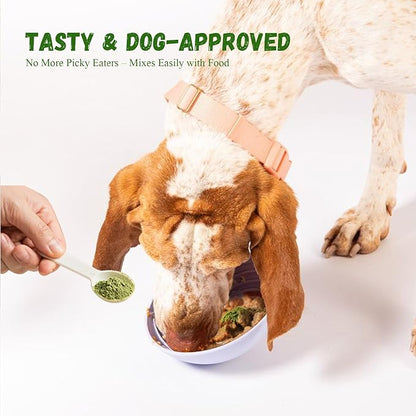 Dog Dental Care Powder - Plaque &amp; Tartar Control with Natural Enzymes, Teeth Cleaning Powder for Dogs with Probiotic, Bad Breath Treatment for Small Medium Large Dogs