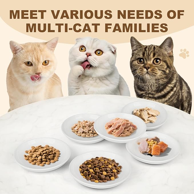 Ceramic Cat Food Bowls - 2 Pack Shallow Plates for Wet Food, Whisker-Friendly Feeding Dish with Non-Slip Silicone Base, Microwave &amp; Dishwasher Safe for Indoor Cats &amp; Kittens