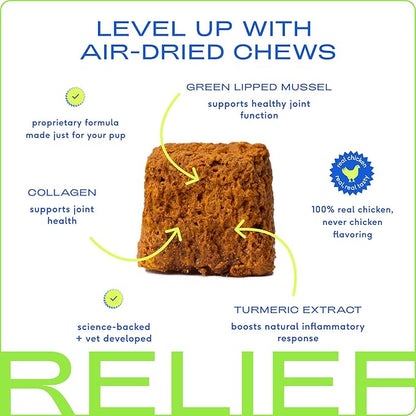 Native Pet Pain Relief for Dogs - Collagen for Dogs Promotes Joint Health, Reduce Inflammation &amp; Stiffness - Senior Pup Joint Supplement - Natural Pain Reliever for Active &amp; Aging Pets - 60 Chews