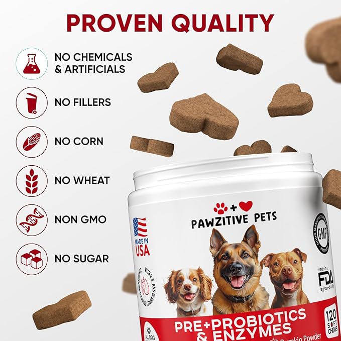 Probiotics for Dogs Digestive Health - Probiotic Chews for Gut Health, Itchy Skin Yeast, Diarrhea - USA Product - Immune Support Supplement - Dog Digestive Support &amp; Allergy Relief Chews with Enzymes