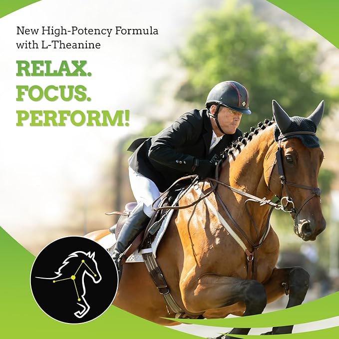 SynChill AF Calming Gel for Nervous Horses - Single Serving - Advanced Formula with L-Theanine, Increased Potency, 100% Natural Supplement, Disposition &amp; Confidence Support for Horses