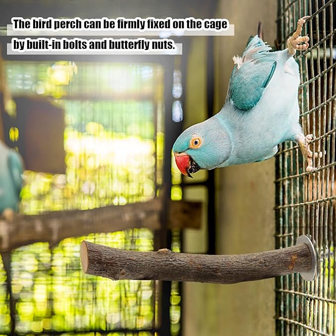 Natural Wood Bird Perches for Cage, Parrot Perch Stand &amp; Platform, Bird Cage Accessories for Parakeets, Cockatiels, Conures, Lovebirds (Brown, Core Perch &amp; Platform - 8PCS)