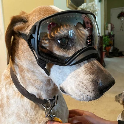NAMSAN Clear Dog Goggles for Large Dogs, Wide Eyecup &amp; Soft Frame, Anti-UV Sunglasses for Dogs Medium to Large Breed, Driving Dog Eye Protection, Windproof Dustproof, Adjustable, Black Frame
