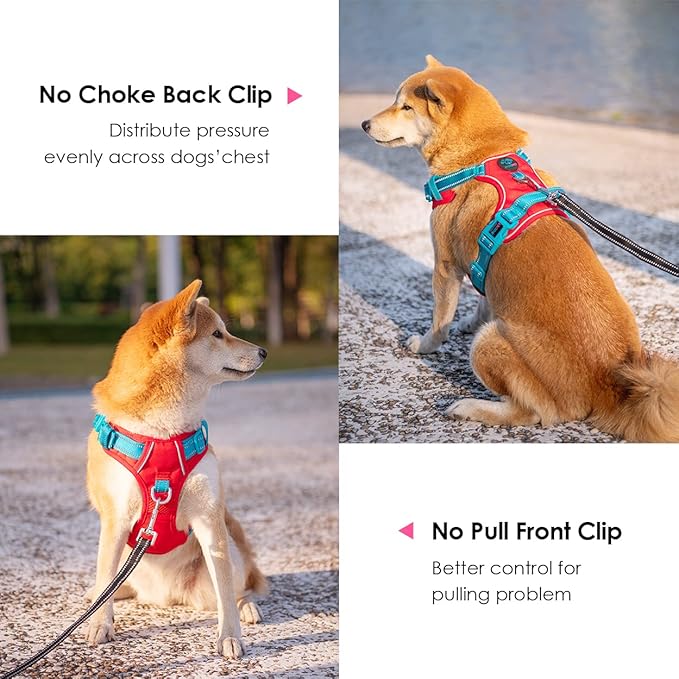 PHOEPET No Pull Dog Harness, Unique Colors Reflective Adjustable Dog Vest, with Soft Training Handle Metal Clips for Small Medium Large Dogs (Red Base &amp; Teal Straps,S)