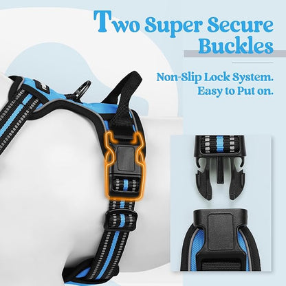 rabbitgoo Dog Harness No Pull with 2 Leash Clips, Adjustable Soft Padded, Reflective Oxford No Choke Pet Vest with Easy Control Handle for Large Dogs, Blue, L
