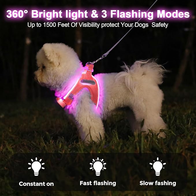 Light Up Dog Harness,Rechargeable LED Dog Harness for Small Medium Large Dogs,Reflective Lighted Safety Vest for Night Walking &amp; Camping,Lightweight &amp; Adjustable,Fluorescent Pink,M