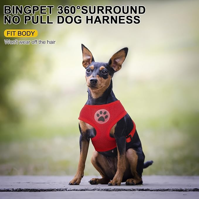 BINGPET No Pull Dog Harness - All Weather Mesh Step-in Vest for Small Dogs, Breathable Mesh Puppy &amp; Cat Harness, Red, X-Small