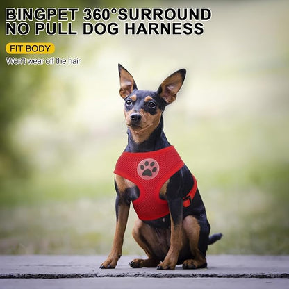 BINGPET No Pull Dog Harness - All Weather Mesh Step-in Vest for Small Dogs, Breathable Mesh Puppy &amp; Cat Harness, Red, X-Small