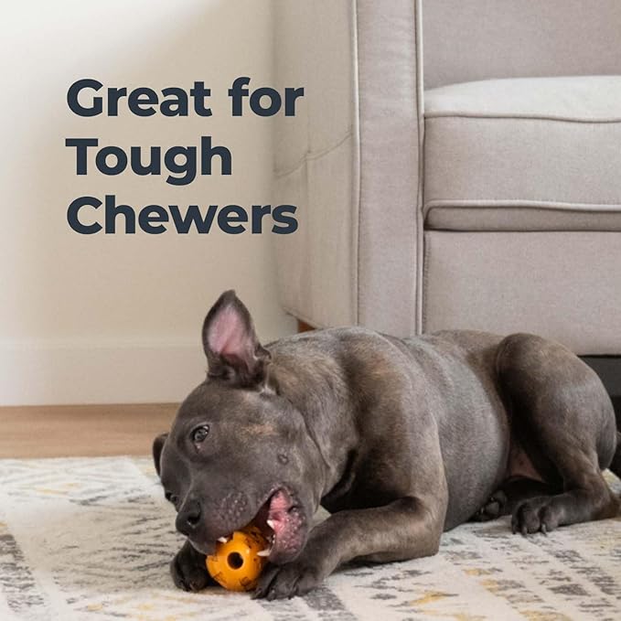 Oxyfresh Dog Dental Chew Toy - Best Durable Rubber Dog Toy for Tough Chewers – Helps Remove Plaque, Cleans Teeth &amp; Freshens Breath Without Brushing (Large)