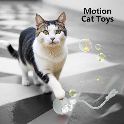 Interactive Cat Toys, Automatic Moving Cat Toy for Bored Indoor Adult Cats, Fast Rolling, Chirping &amp; Motion-Activated Cat Toys, Fun Gift for Cats with Speedy Tail 2.0, USB Rechargeable(Gray)