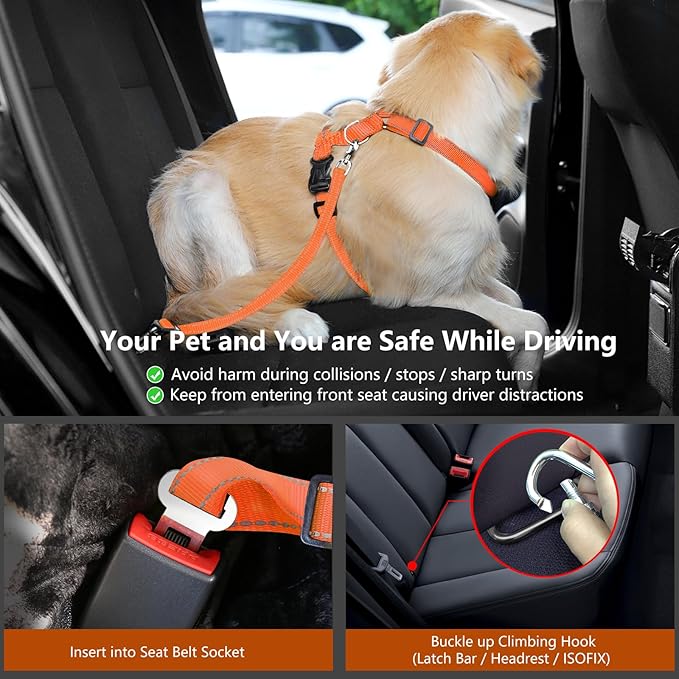 Dog Seat Belt Harness for Car, Dog Car Harness Adjustable Mesh Breathable &amp; Dogs Seatbelt Safety Tether with Elastic Bungee for Small Medium Large Pets(Orange, M)