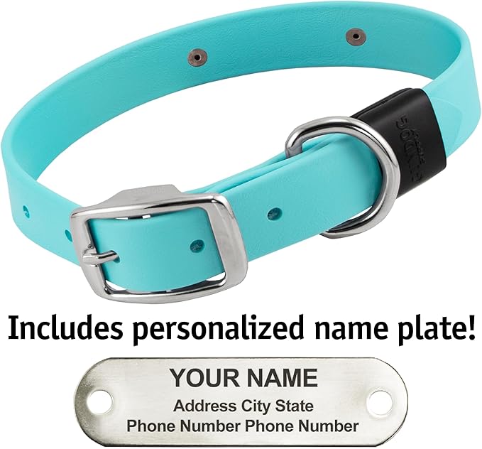 Biothane Custom Dog Collar – Waterproof, Stink-Proof Personalized Collar with Name &amp; Phone Number – Durable, Many Sizes and Colors – Assembled in USA (Sky Blue)