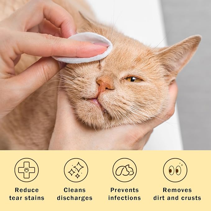 Dog Eye Wipes Gently Remove Tear Stain Eye Debris for Dogs &amp;Cats Pet Grooming Kit Care Wash Cleaner for Eyes Wrinkle Face 100pcs Unscented