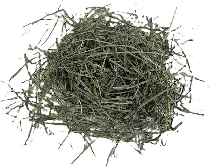 Blue Mountain Hay High-Altitude Teff Grass Hay, 50lb Easy Flake Box - Low NSC &amp; High Fiber for Easy Digestion and Weight Management - Ideal for Horses, Goats, Rabbits, Guinea Pigs &amp; Other Small Pets