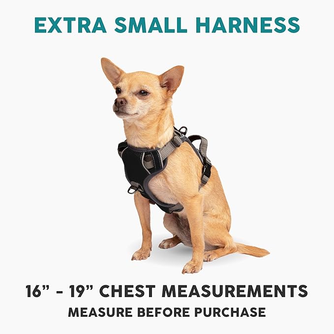 Embark Adventure Dog Harness, No-Pull Reflective Trim Dog Harness for Small, Medium &amp; Large Dogs - Military Grade Nylon, 2 Leash Clips &amp; Gel Lined Handle. Soft &amp; Padded Puppy Dog Vest for Any Breed