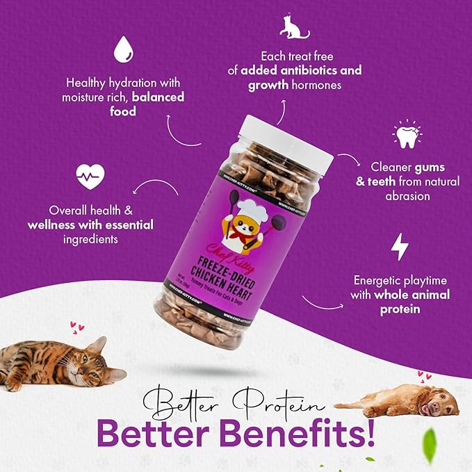 Freeze-Dried Chicken Heart Treats for Cats &amp; Dogs – 100% Human Grade, Single Ingredient, High-Protein, Healthy Snack – No Additives or Preservatives – 1.4oz - Inspected &amp; Tested in USA
